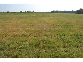 Dekalb County, Indiana Farmland - MAJOR LAND AUCTION - 516+/- ACRES OFFERED IN 18 TRACTS OR COMBINATIONS IN DEKALB COUNTY, INDIANA